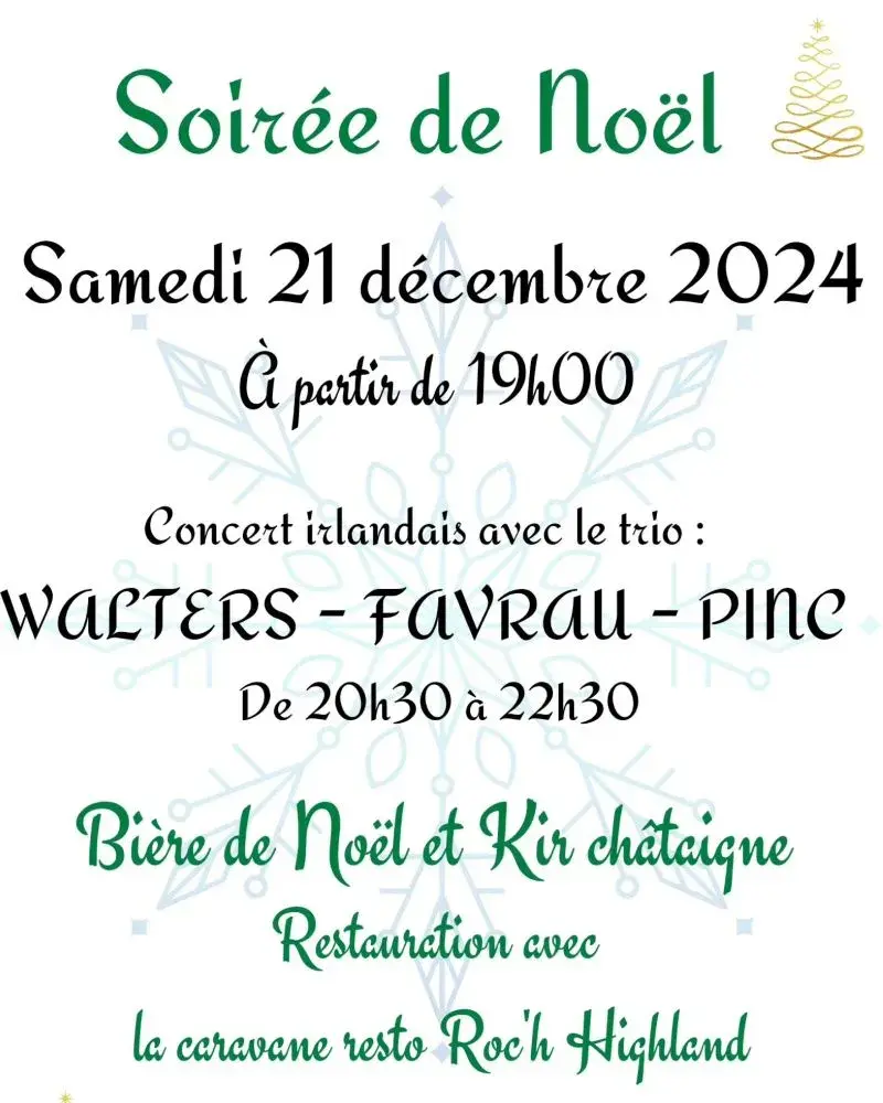 Concert irlandais 1